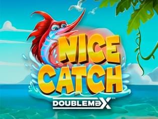 Nice Catch DoubleMax screenshot